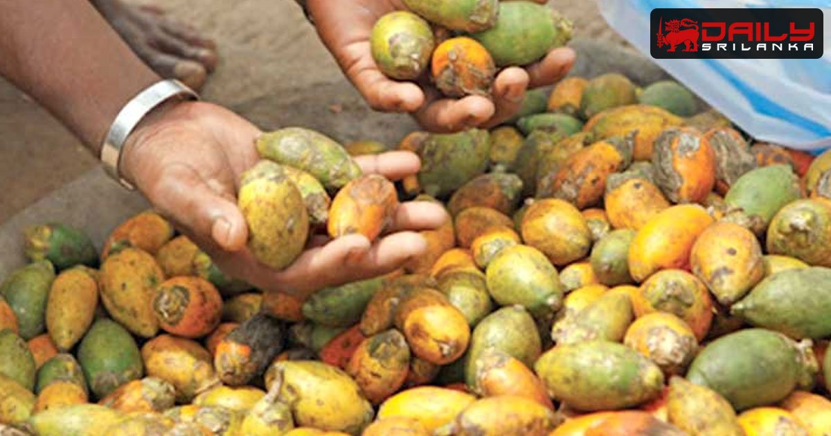 පුවක් මිල ඉහළට.