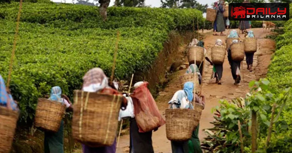 වතු සේවකයින්ගේ දෛනික වැටුප රුපියල් 1,700ක් ලබාදීමේ තීරණය සම්මතයි.