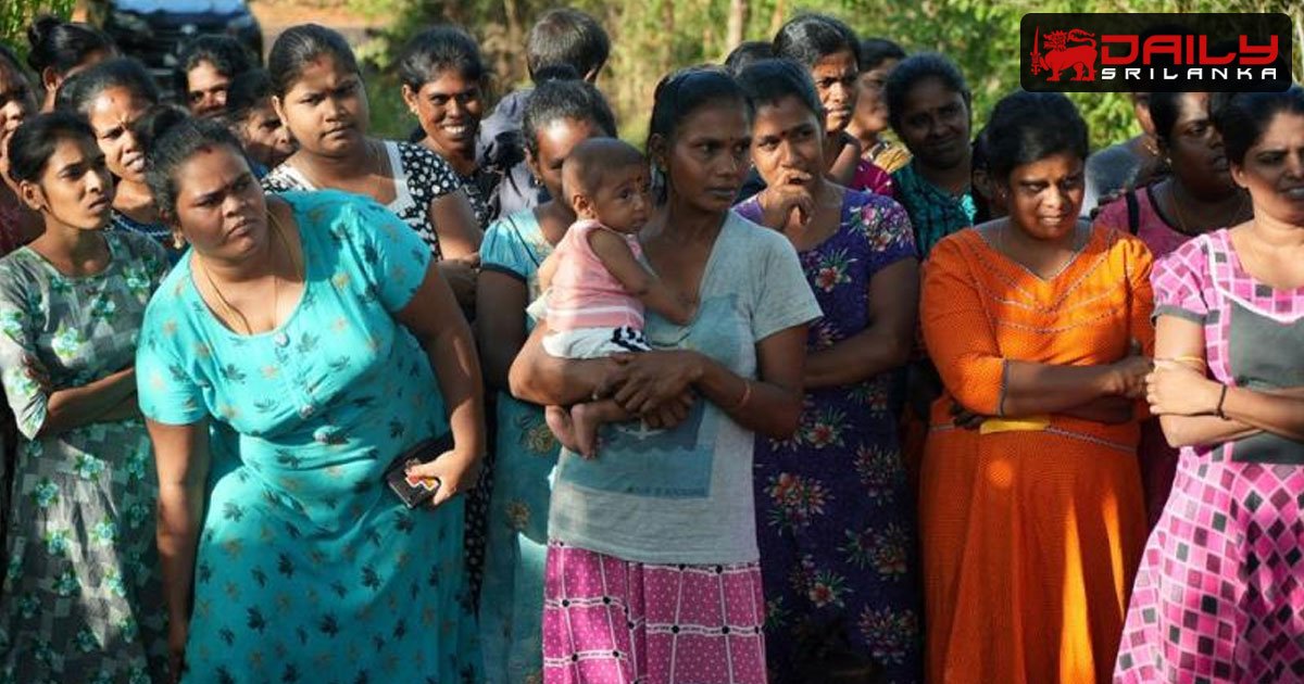 යුද සමයේ ඉන්දියාවට පලාගිය සරණාගතයින්ට මෙරටට පැමිණීමට තිබූ බාධා ඉවතට
