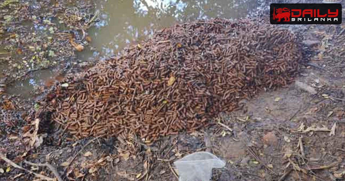 පාසලක් අසල තිබී උණ්ඩ තොගයක් හමුවෙයි
