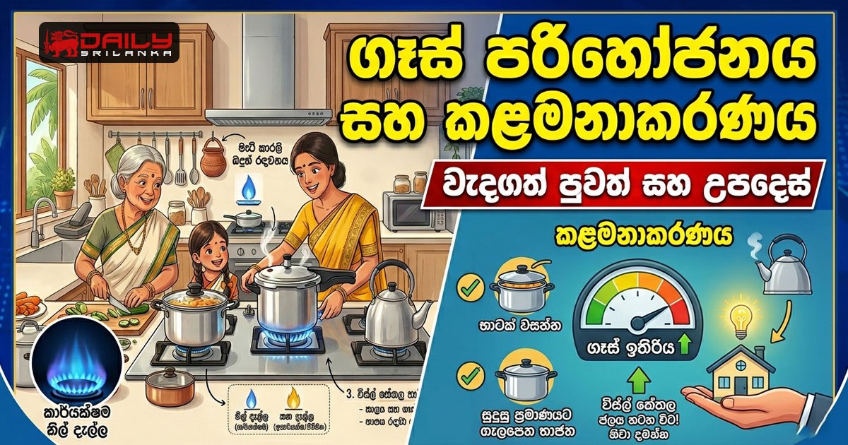 ගෑස් පරිභෝජනය සහ කළමනාකරණය සඳහා උපදෙස්